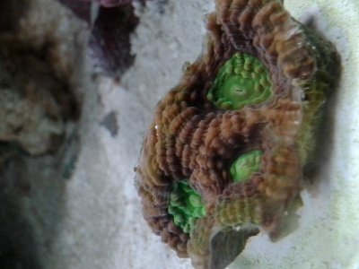 20141123_155245.jpg
