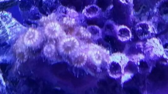 2014-11-23 20.46.02.jpg