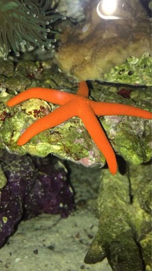 ImageUploadedByTapatalk1416812570.878100.jpg ImageUploadedByTapatalk1416812570.878100.jpg