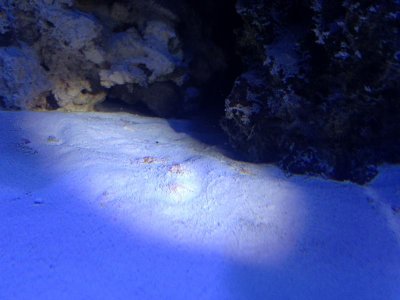 IMG_5907.jpg