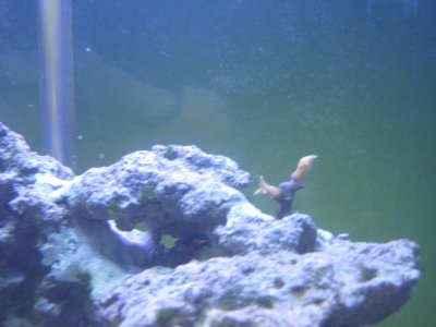 IMG_0018.jpg