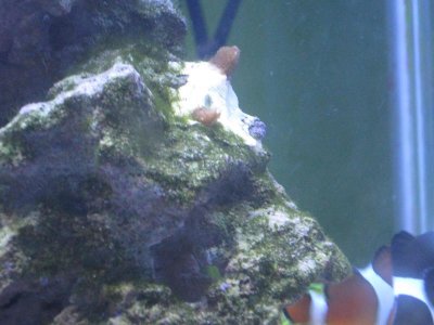 IMG_0019.jpg