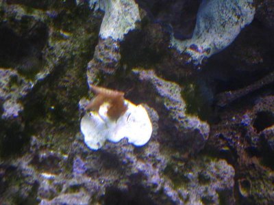 IMG_0026.jpg