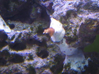 IMG_0027.jpg