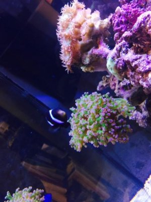 FullSizeRender (2).jpg