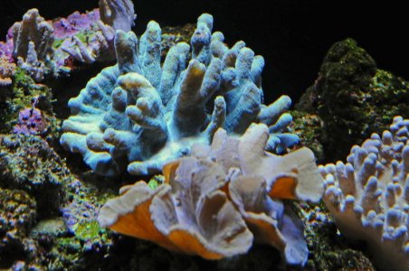 DSC_4545_0417_edited-1.jpg