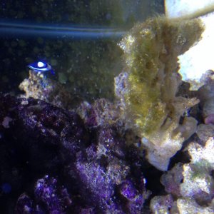 IMG_3123.jpg IMG_3123.jpg