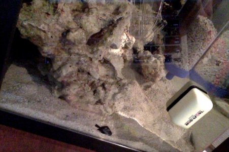 Photo on 11-30-14 at 10.01 AM #2.jpg