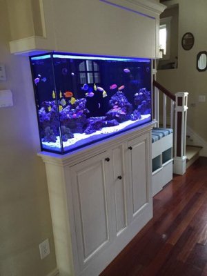 ImageUploadedByTapatalk1417361770.469414.jpg