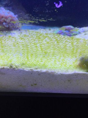 ImageUploadedByTapatalk1417485768.359424.jpg ImageUploadedByTapatalk1417485768.359424.jpg