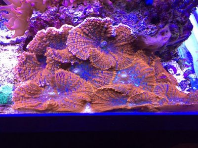 IMG_4130.jpg
