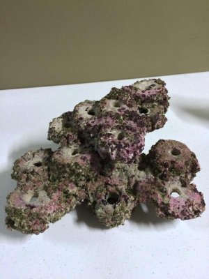 ImageUploadedByTapatalk1417572187.576842.jpg