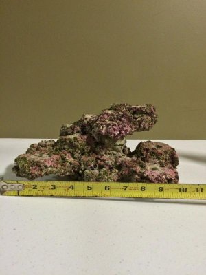 ImageUploadedByTapatalk1417572197.694393.jpg