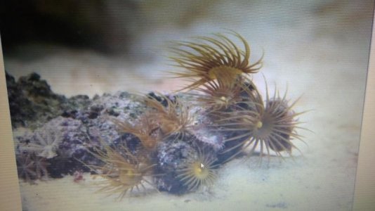 WP_20141205_13_02_00_Pro (800x450).jpg