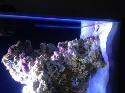 image (4).jpg image (4).jpg