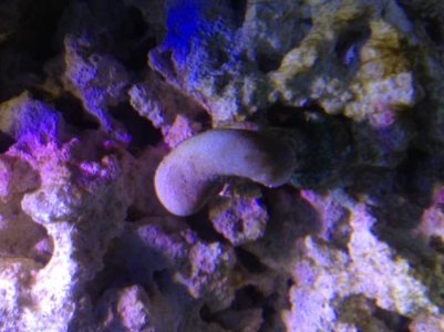 image (3).jpg image (3).jpg