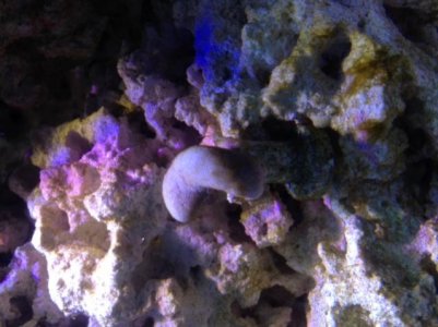 image (5).jpg image (5).jpg