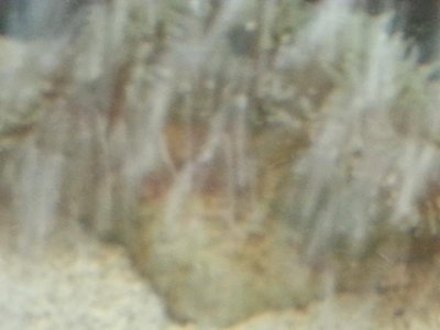 20141205_215458[1].jpg