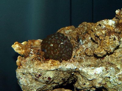 Image3.jpg