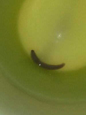 20141213_211216.jpg