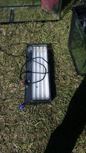 2014-12-14 12.42.30.jpg