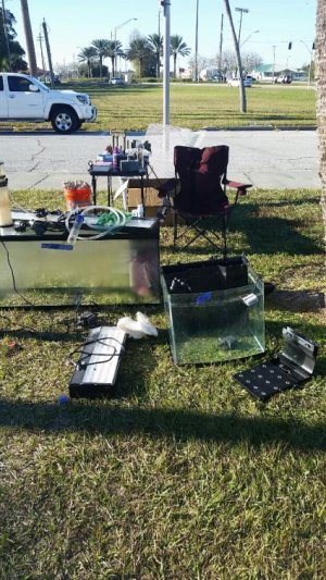 2014-12-14 12.50.03.jpg