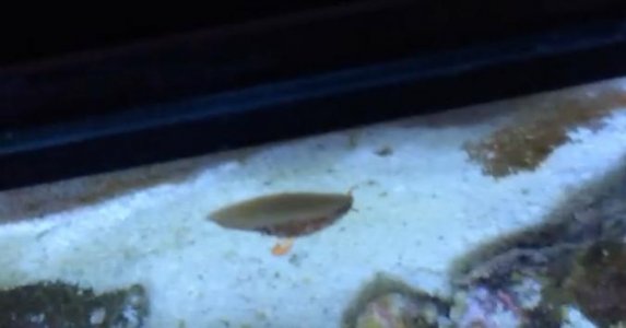 Screen Shot 2014-12-14 at 6.21.28 PM.jpg