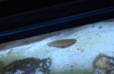 Screen Shot 2014-12-14 at 6.21.24 PM.jpg