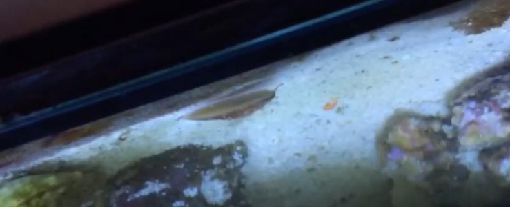 Screen Shot 2014-12-14 at 6.21.20 PM.jpg