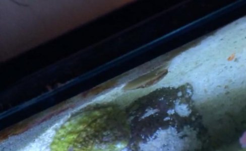 Screen Shot 2014-12-14 at 6.21.12 PM.jpg