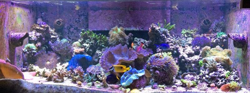 320fts2014121501.jpg