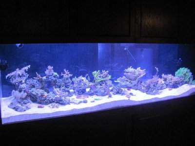 Fulltank1.jpg