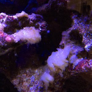 IMG_1067.jpg