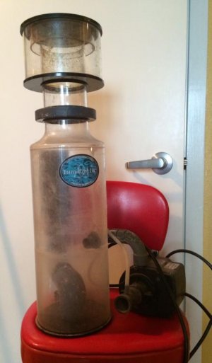 skimmer1.jpg