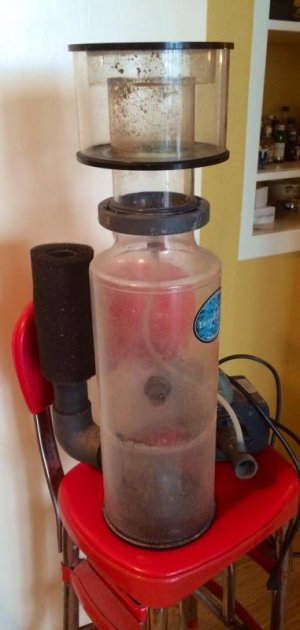 skimmer2.jpg