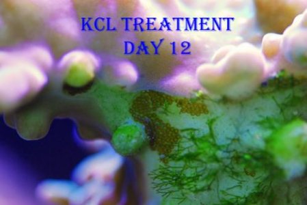 aefwday12.jpg