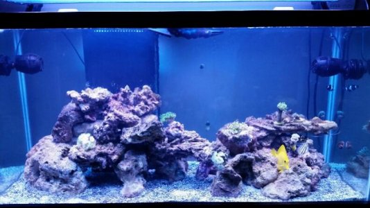 2014-12-17 10.14.47.jpg