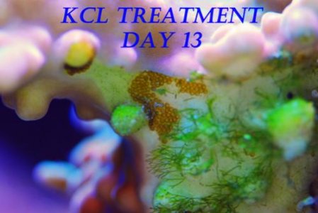 aefwday13.jpg