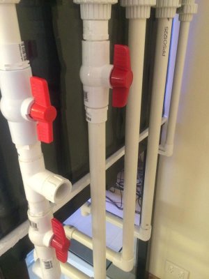 Downs with water change.jpg