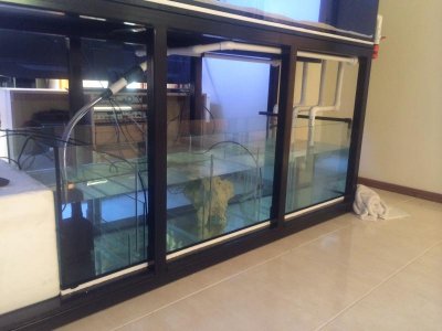 Full sump long shot.jpg