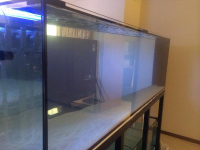 Full tank long shot.jpg