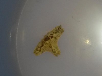 20141219_202719.jpg
