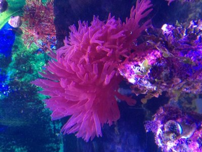 IMG_5837.jpg