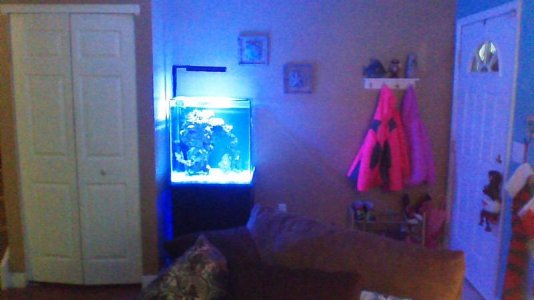 WIN_20141221_180047.jpg