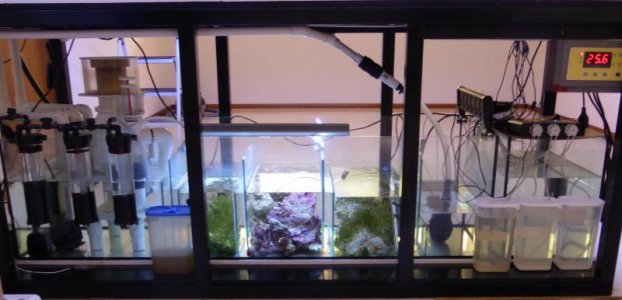 1 week today 005.jpg