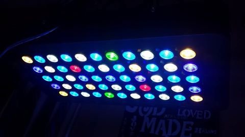 Leds.jpg