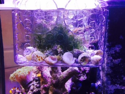 FullSizeRender (18).jpg