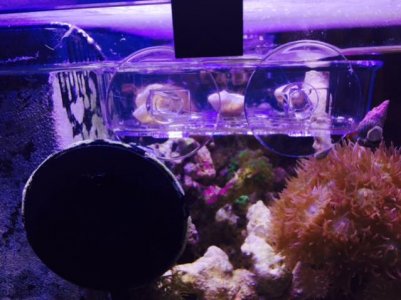 FullSizeRender (19).jpg