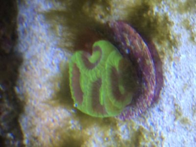 image2.JPG