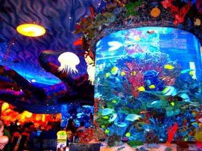 trex-cafe-fishtank-web.jpg.cf.jpg